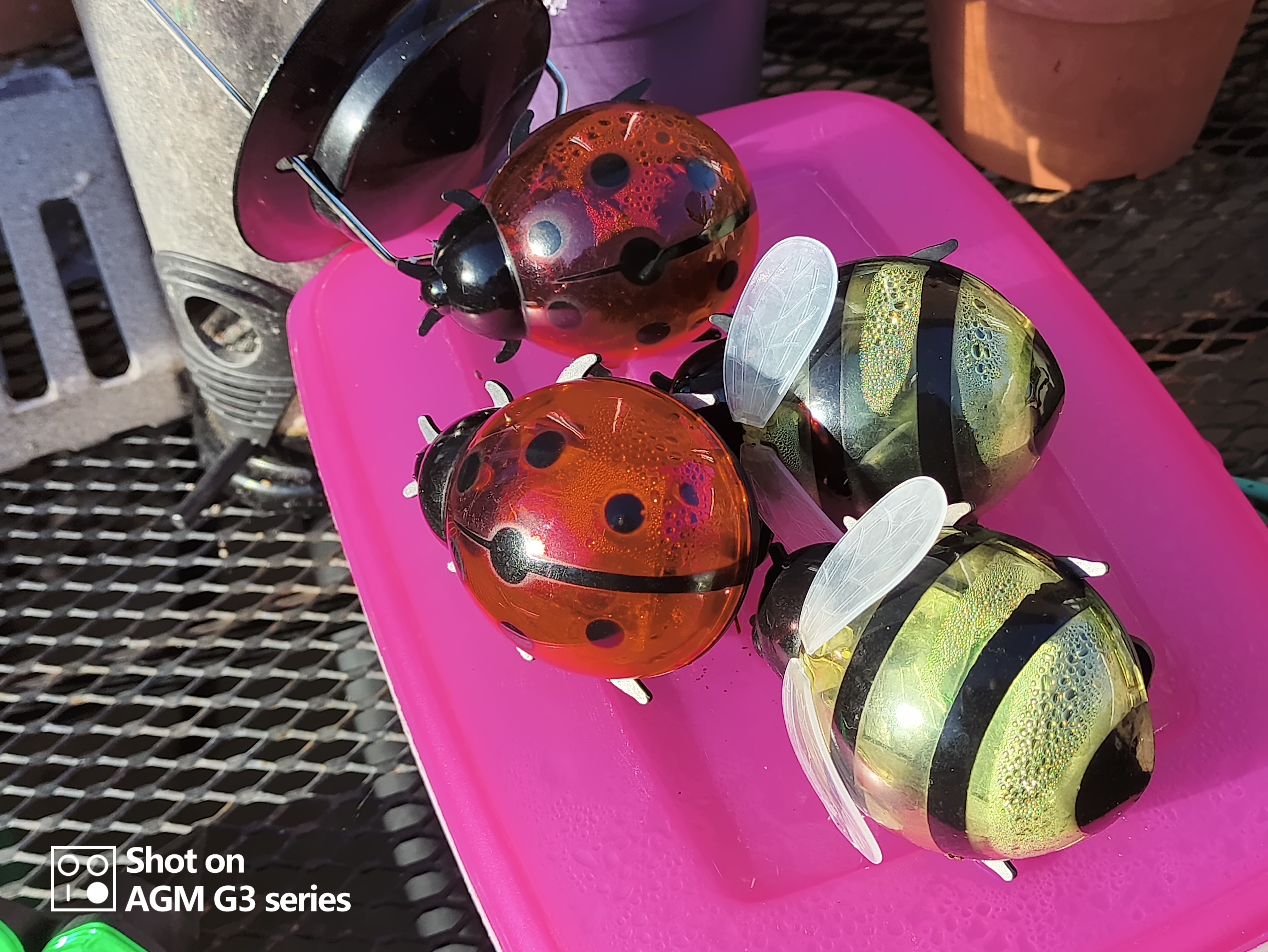 AGM G3 Pro photo and thermal examples