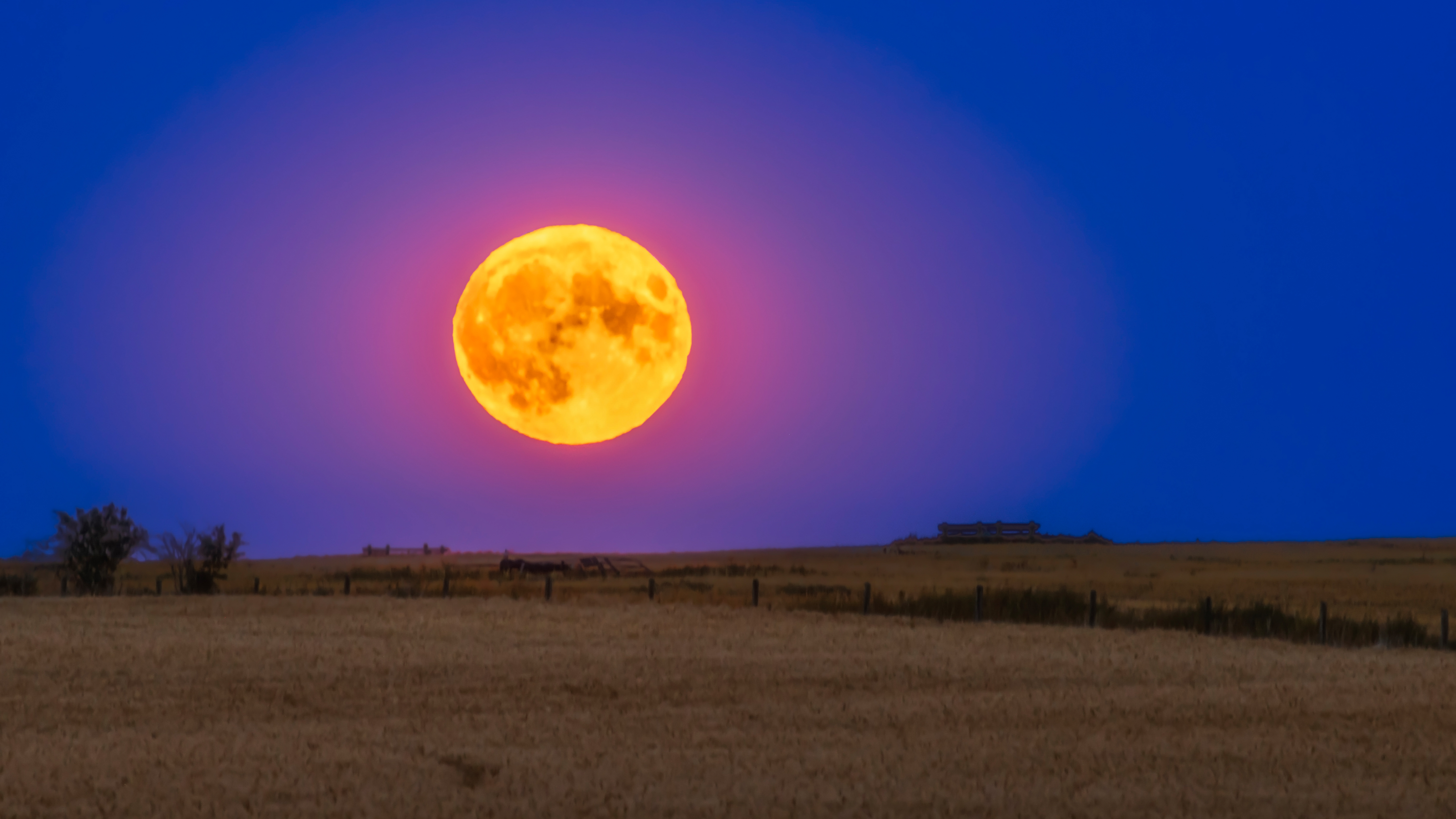 A full moon rising over a wheat field in southern Alberta, Canada. Canon EOS R5 with RF 100-400mm. 1.3sec at f/8, ISO400