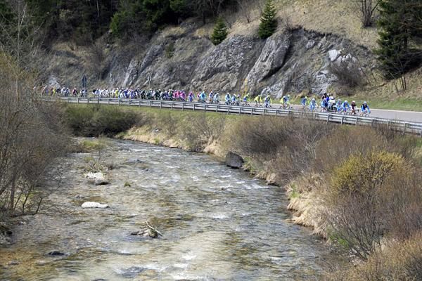 The peloton in action during stage 4 at the Giro del Trentino.