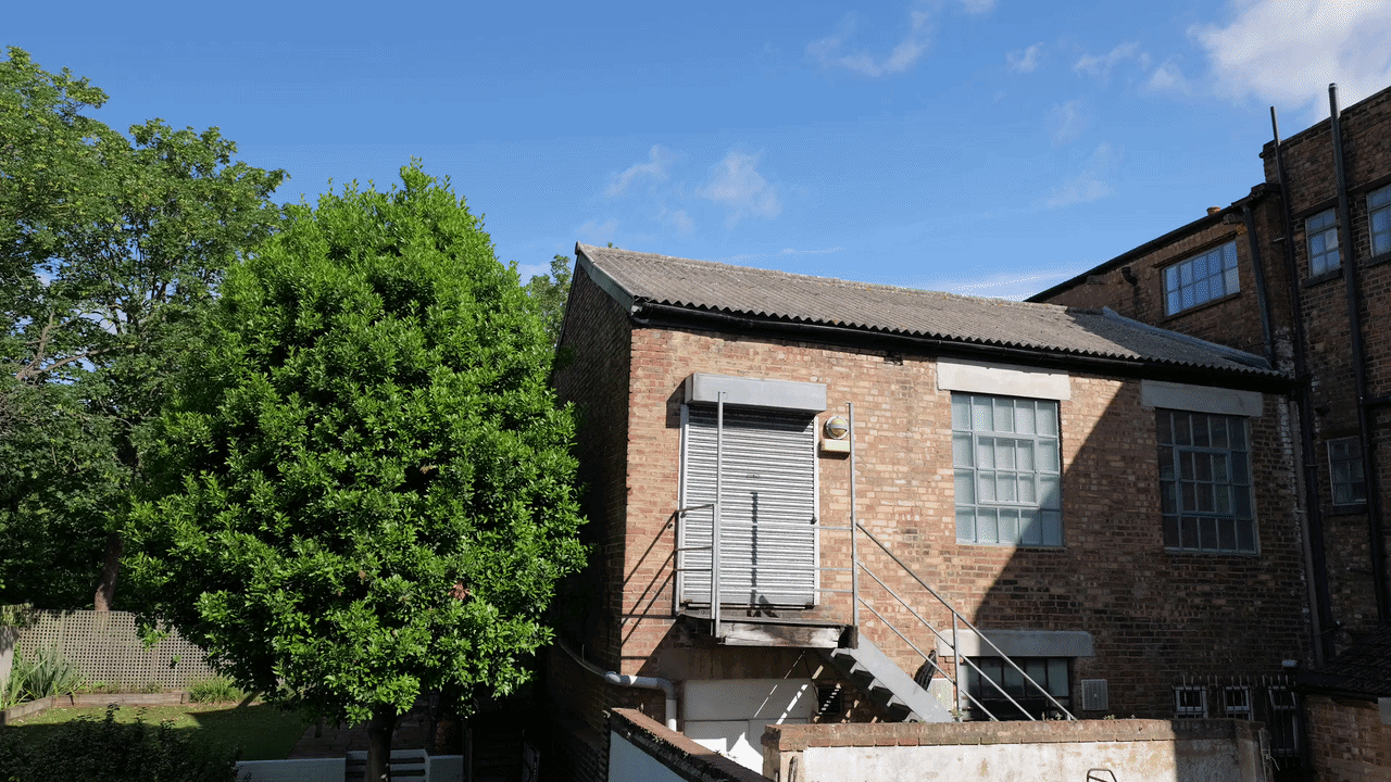 Warehouse next to a green tree and bright blue sky