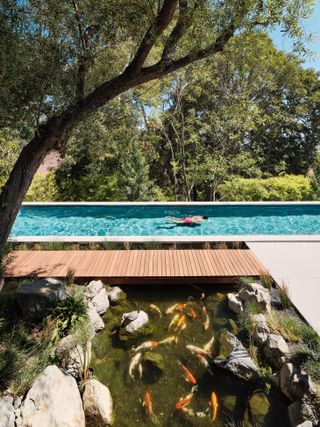 swimming pool and koi pond in California at renovated modernist Moore house