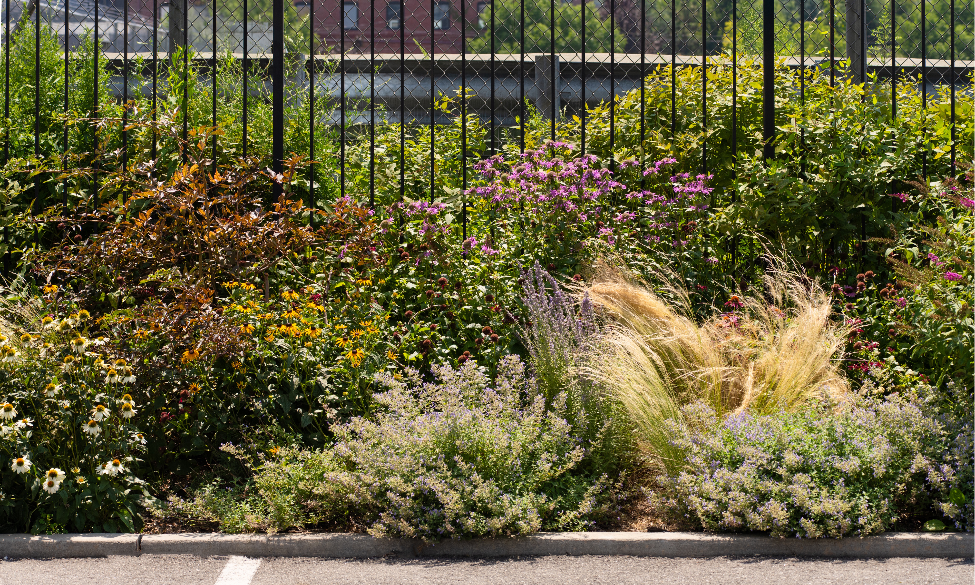 Laurie Blumenfeld's community garden border in NYC