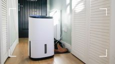 picture of dehumidifier in hallway