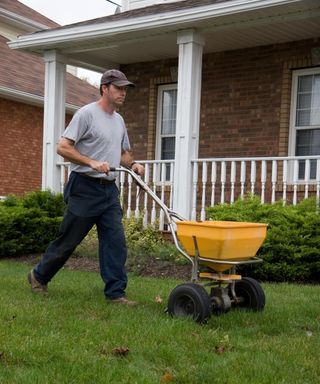 Fertilizing a lawn in fall