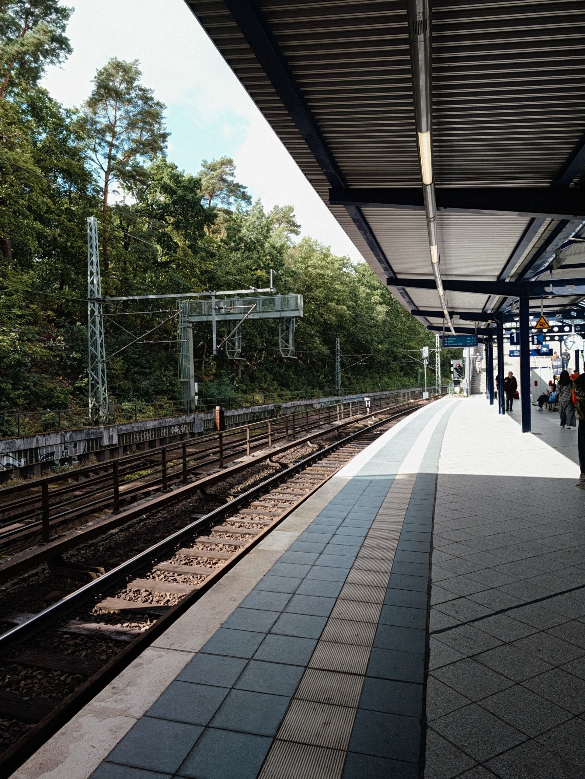 Quiet railway platform with tracks running alongside wooded embankments.