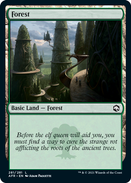 Magic the Gathering Dungeons &amp; Dragons Adventures in the Forgotten Realms