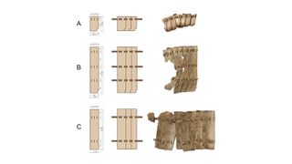 The different types of leather scales found in the armor, including type A (about 5,159 pieces preserved), type B (about 115 pieces preserved) and type C (about 67 pieces preserved).