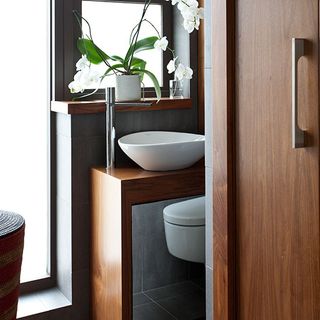 guest cloakroom with white basin and flower pot