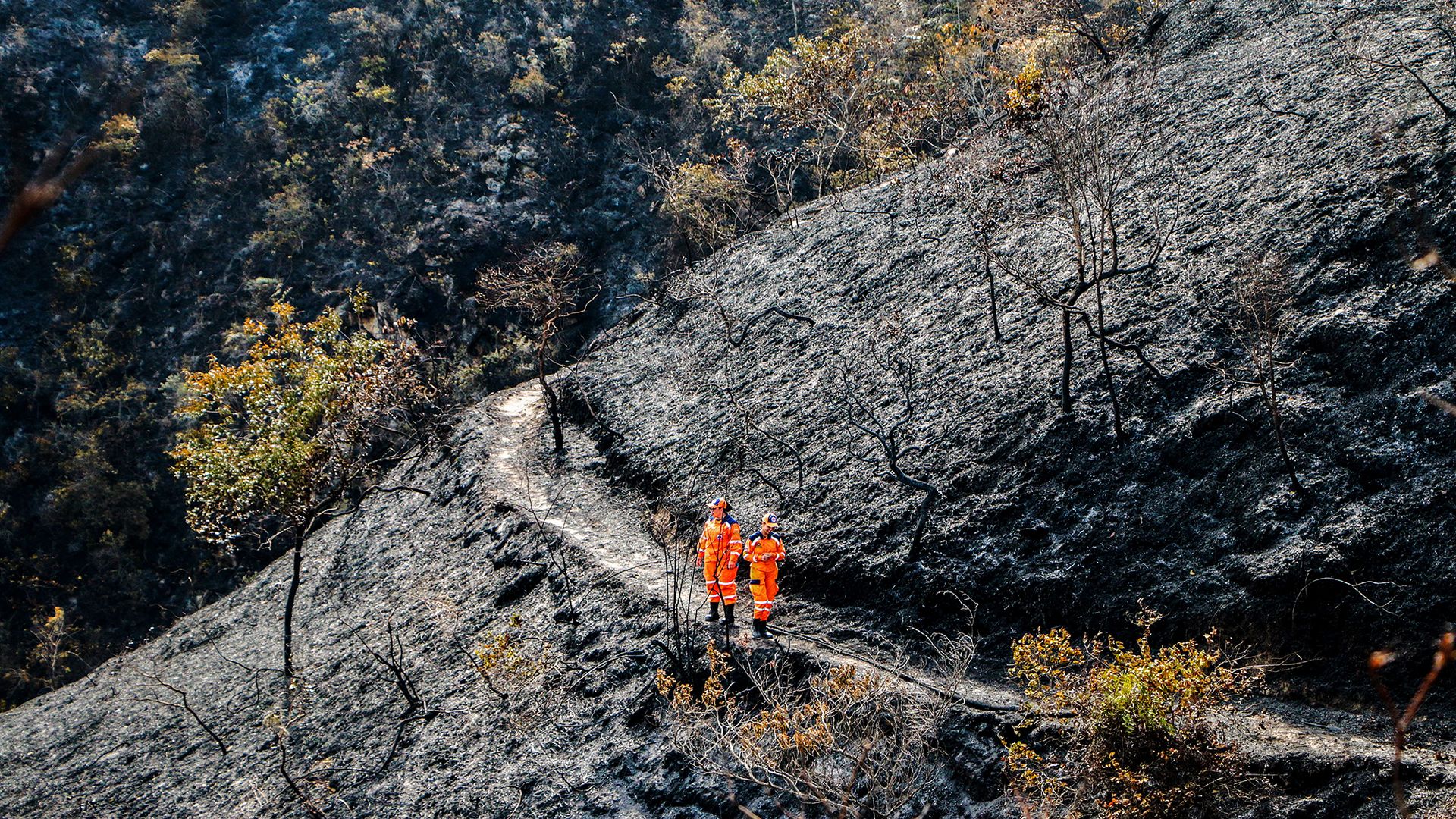 
                                Members of the Colombian Civil Defense cross a hillside scorched by wildfire in Abrego, Colombia
                            