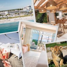 Palm Beaches Florida