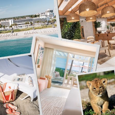 Palm Beaches Florida