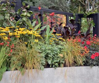 autumnal planting in raised bed