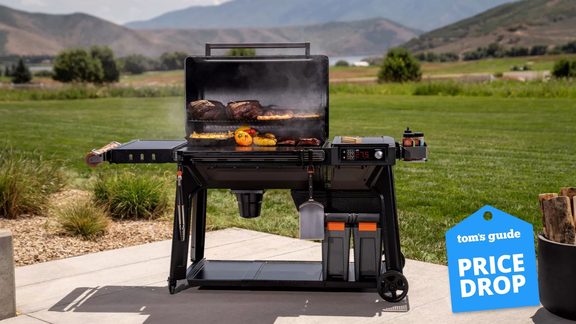 Traeger woodridge pro deal