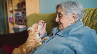 Senior woman sitting on couch with her ginger cat