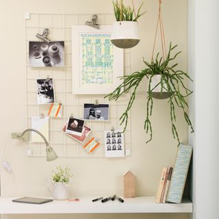 Wire memo board above desk with hanging plants