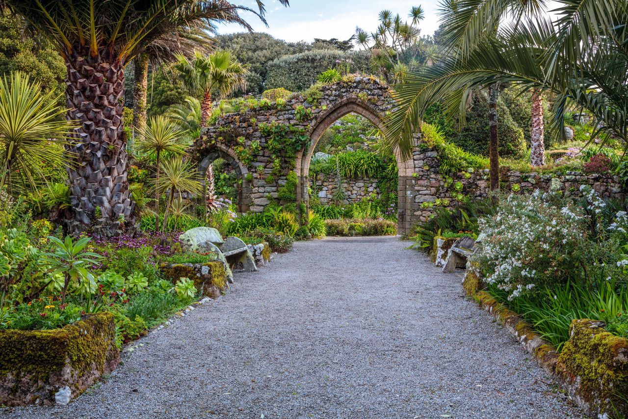 Succulents thrive among the stones of the ruined 9th-century abbey at the heart of the gardens. The shelterbelt of high hedges and trees, mainly Monterey cypress and Monterey pine, keep out the sea gales. ©Clive Nichols Garden Pictures