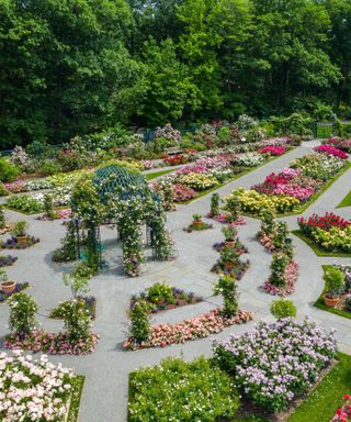 Peggy Rockefeller rose garden in New York Botanical Garden