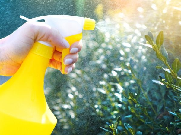 Tips & Information about Pesticides | Gardening Know How