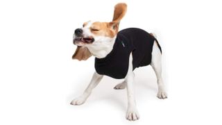 Suitical Recovery Suit dog head cone alternative
