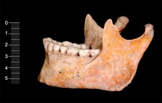 Caveman bones discovered in Leon, Spain.