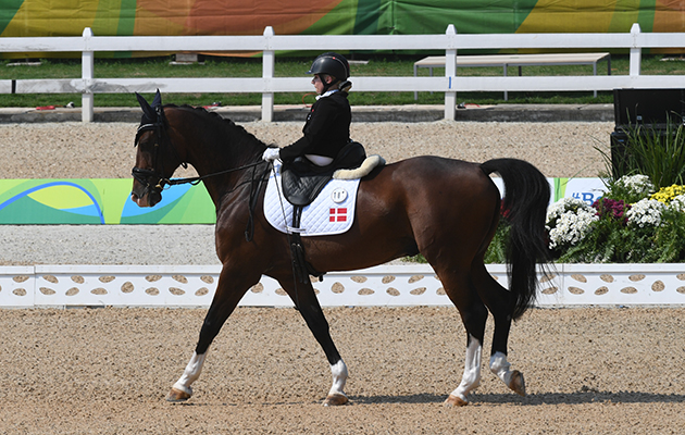 PR6_3700.jpg