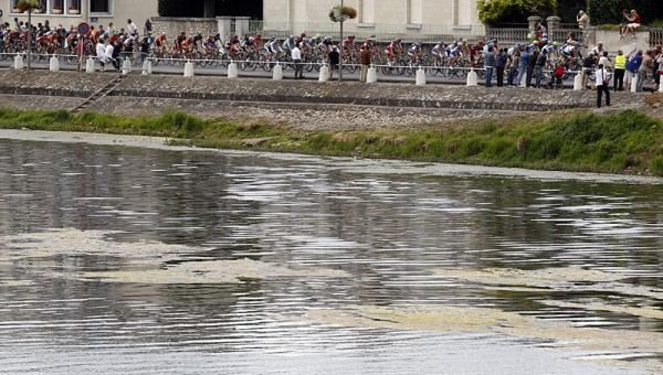 The peloton during stage 7 of the Tour de France