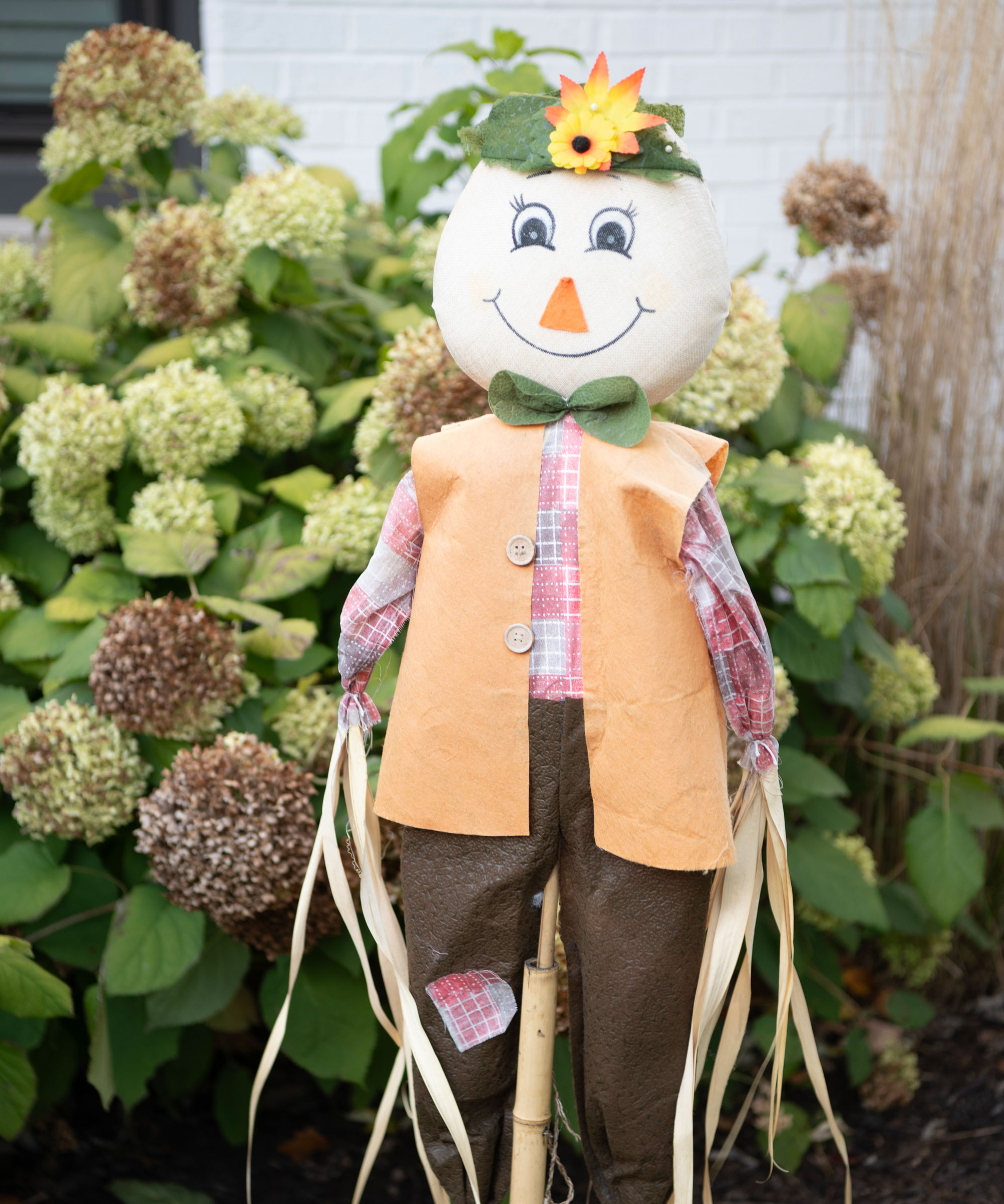 cardboard scarecrow in garden with hydrangeas