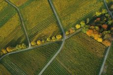 Bealieu.bv_aerial_image_final.jpg