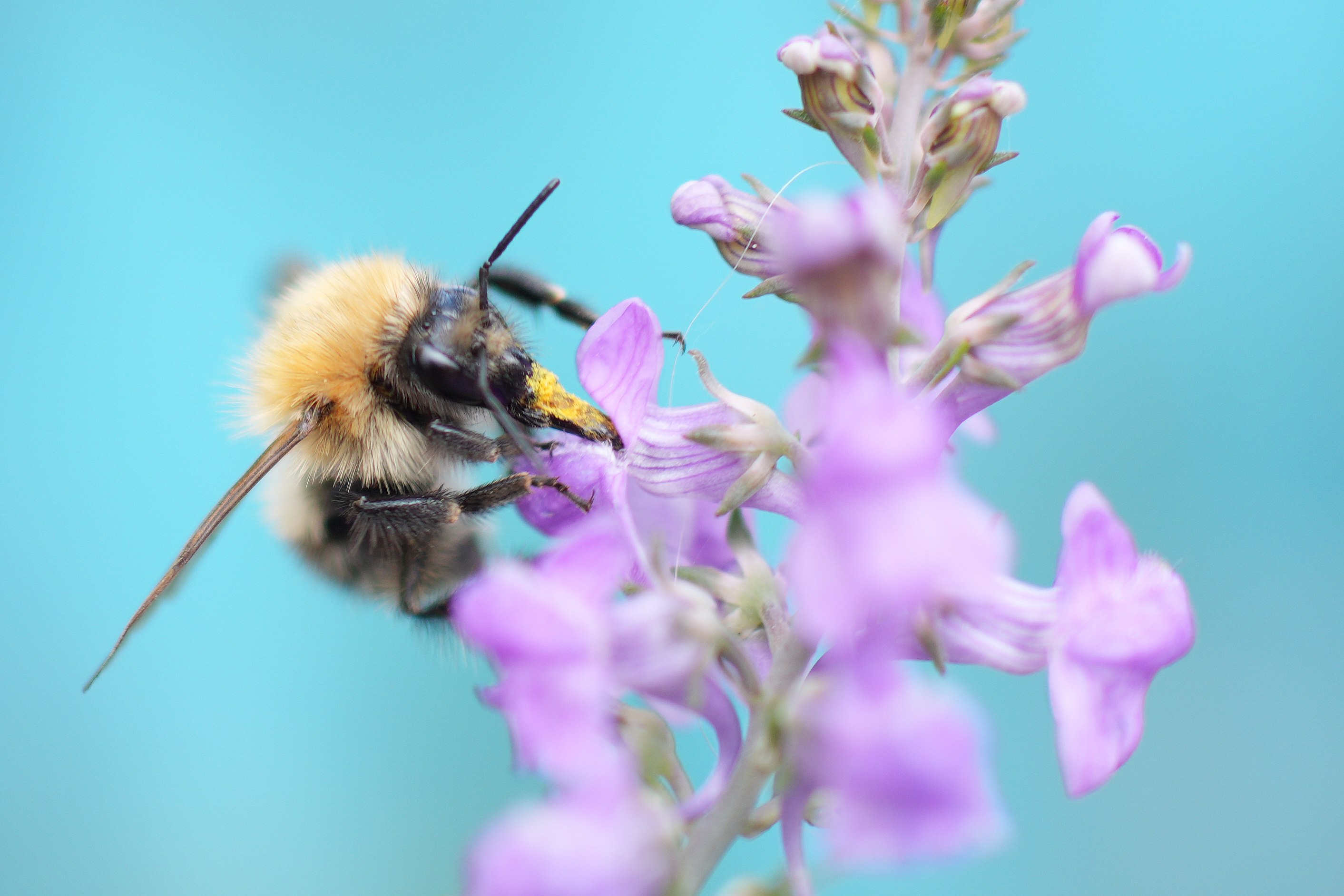 Sample image taken on the Sony RX1R III