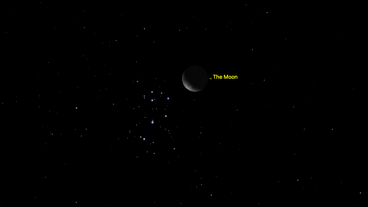 The crescent moon is shown to the right of the bright stars of the Pleiades open star cluster on the night of July 20 against a simulated night sky.