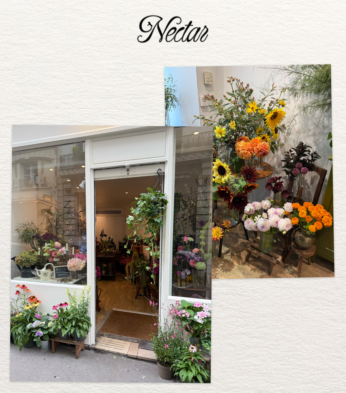Nectar floral shop in Paris.