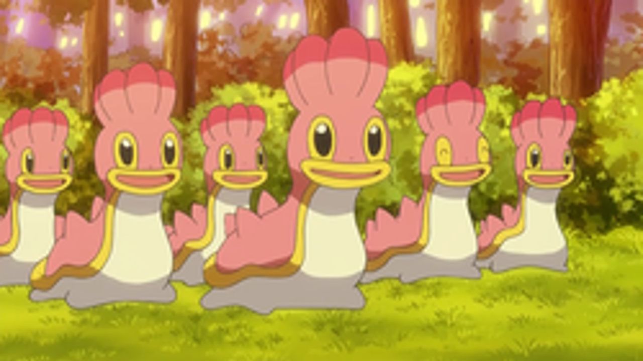 pink shellos