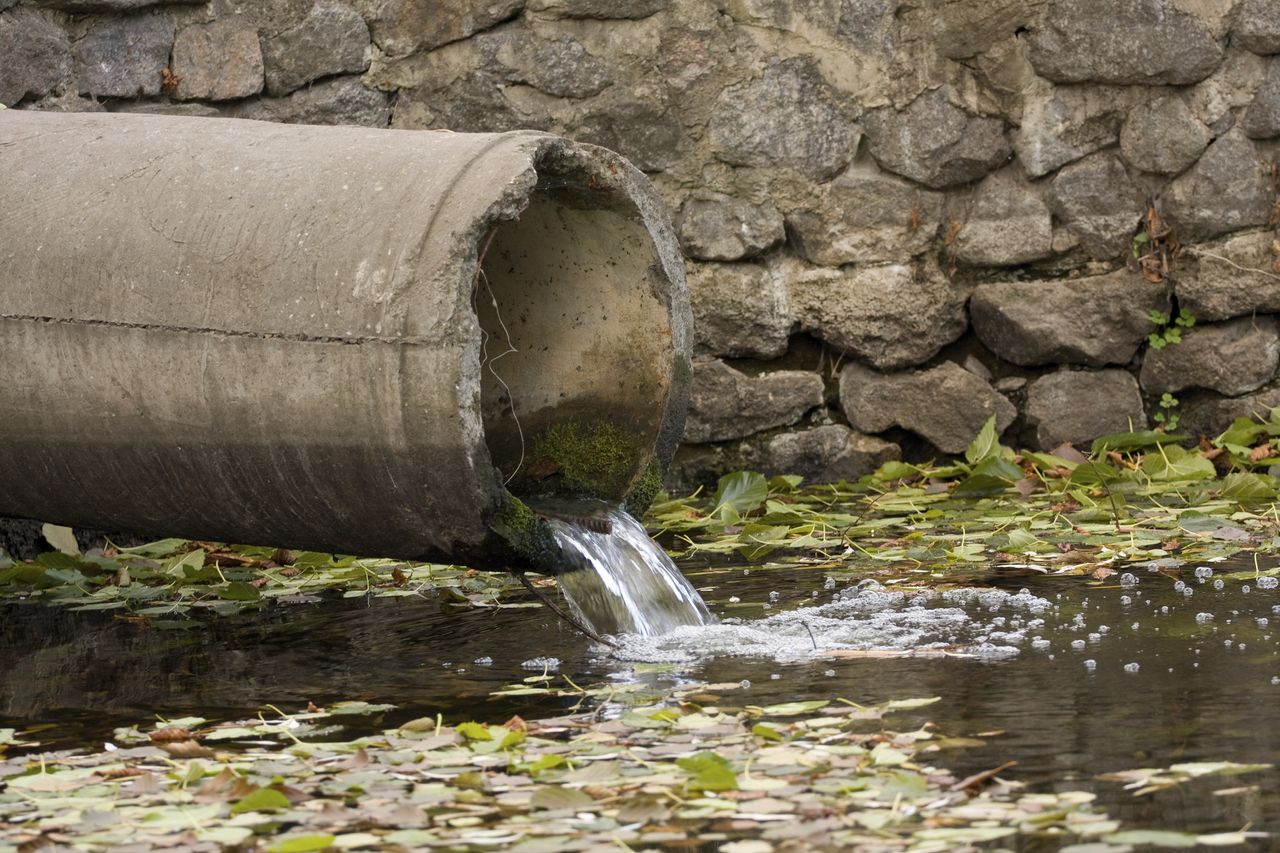 Scientists suggest using &amp;#039;glow-in-the-dark tampons&amp;#039; to test rivers for sewage leaks