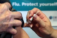 Flu death toll rises