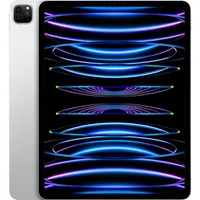 iPad Pro 12.9 (2022): $1,199$1,099 at B&amp;H