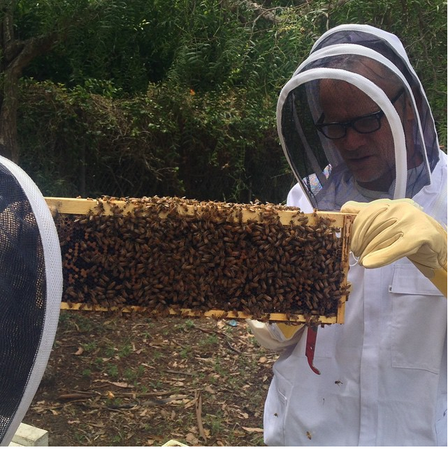 The Red Hot Chili Peppers' Flea is now a backyard beekeeper The Week