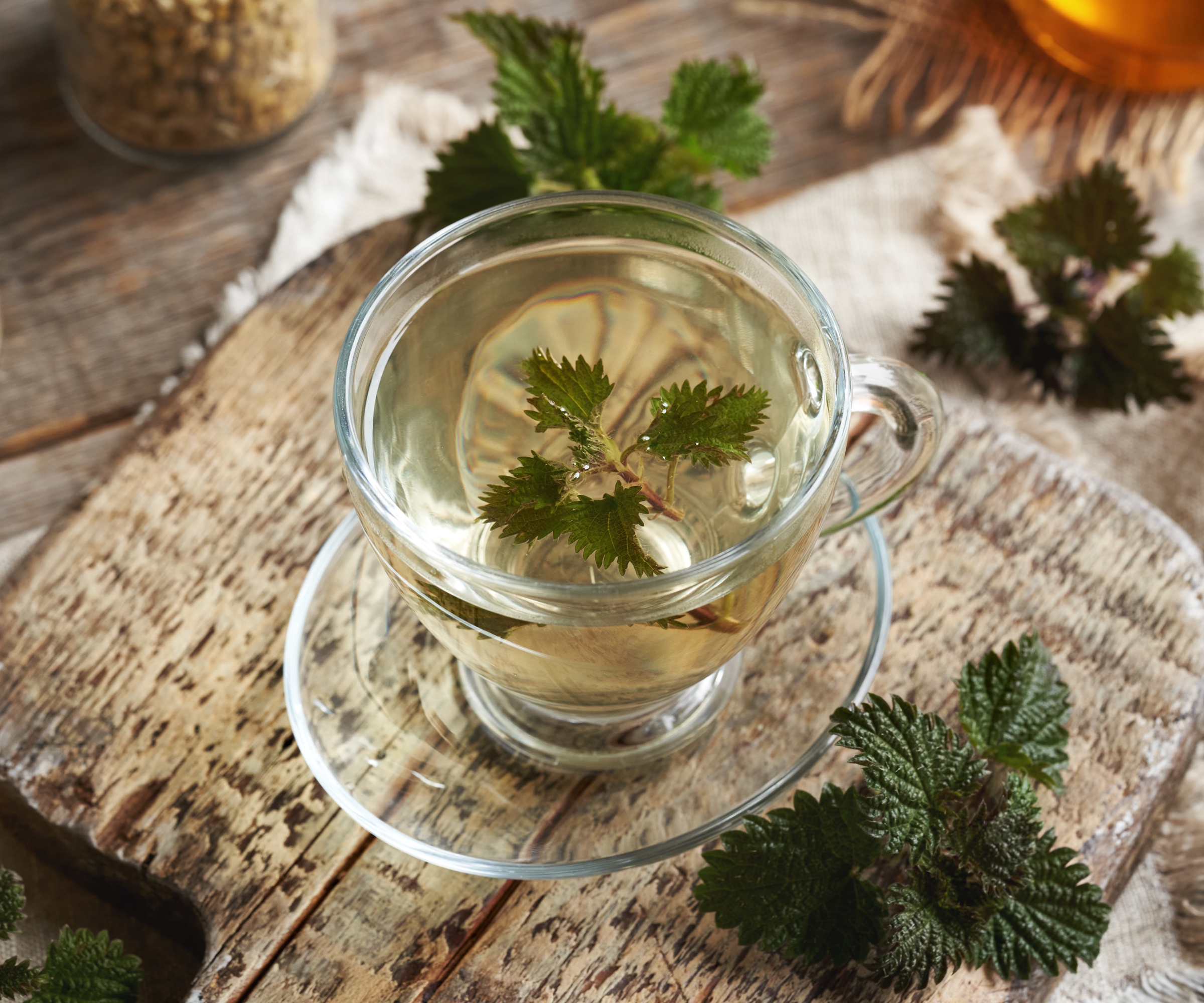 Nettle leaf tea