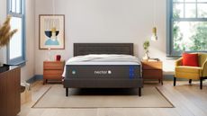 Nectar mattress in contemporary styled bedroom