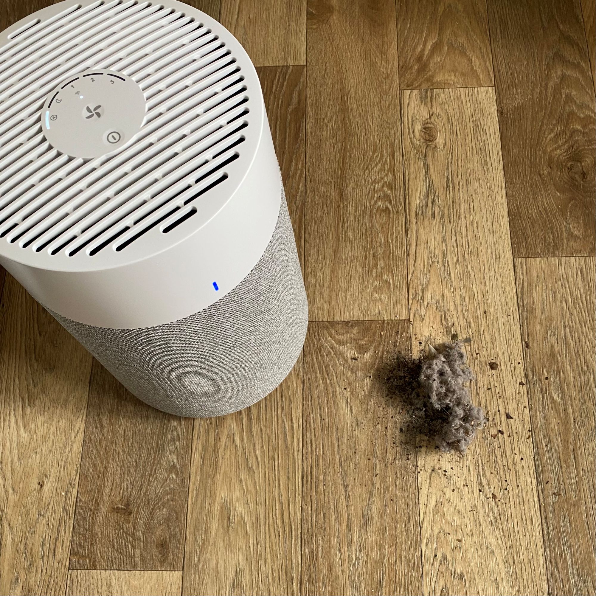 Blueair Blue Pure 511i Max Air Purifier - dust test