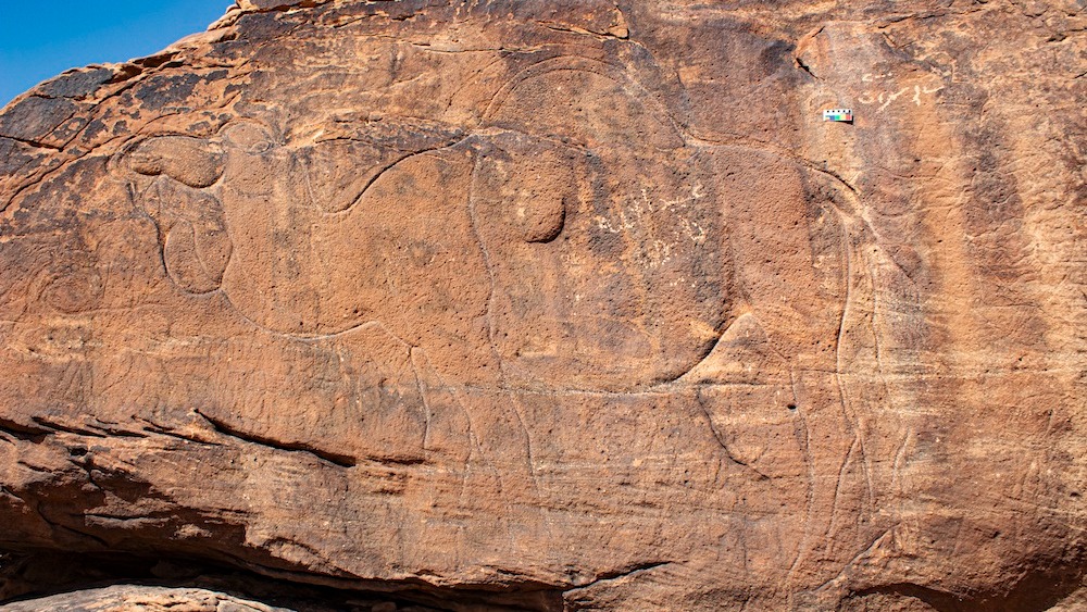 A carving of a camel on a rock outcropping.