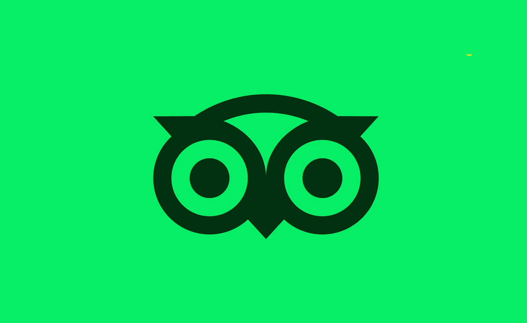 New TripAdvisor logo