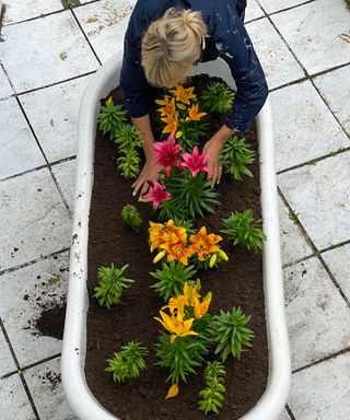 A white freestanding rolltop bathtub filled with soil and flowers, used as planter