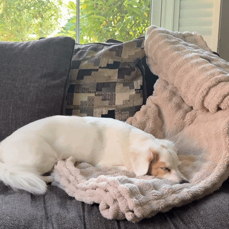 Bedsure Cosy Bubble Fleece Blanket