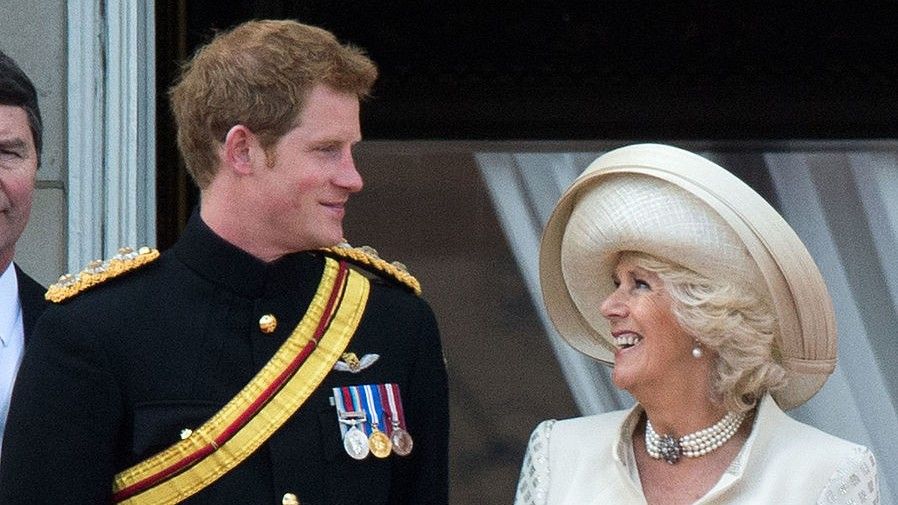 Prince Harry Camilla