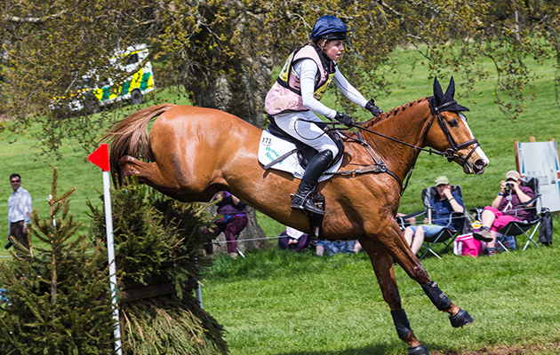 Young event horses to watch LVS Movistar Bella Lloyd Webber