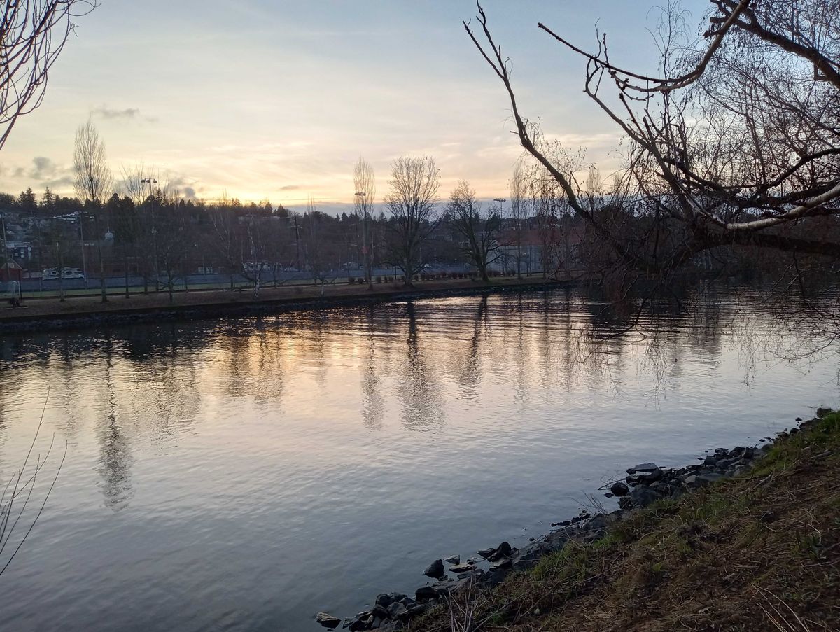 Moto G Play (2023), photo of a river at sunset