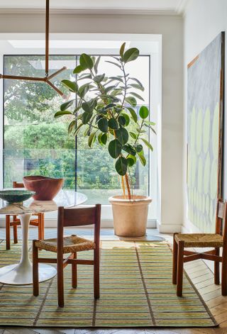 a colorful patterned rug in a dining room with a big plant