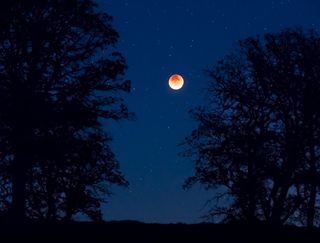 The 2015 "supermoon" eclipse captured at the Berryessa-Snow Mountain National Monument, managed by the U.S. Bureau of Land Management.