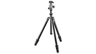 Best travel tripod: Gitzo GT1545T Traveller with ball head