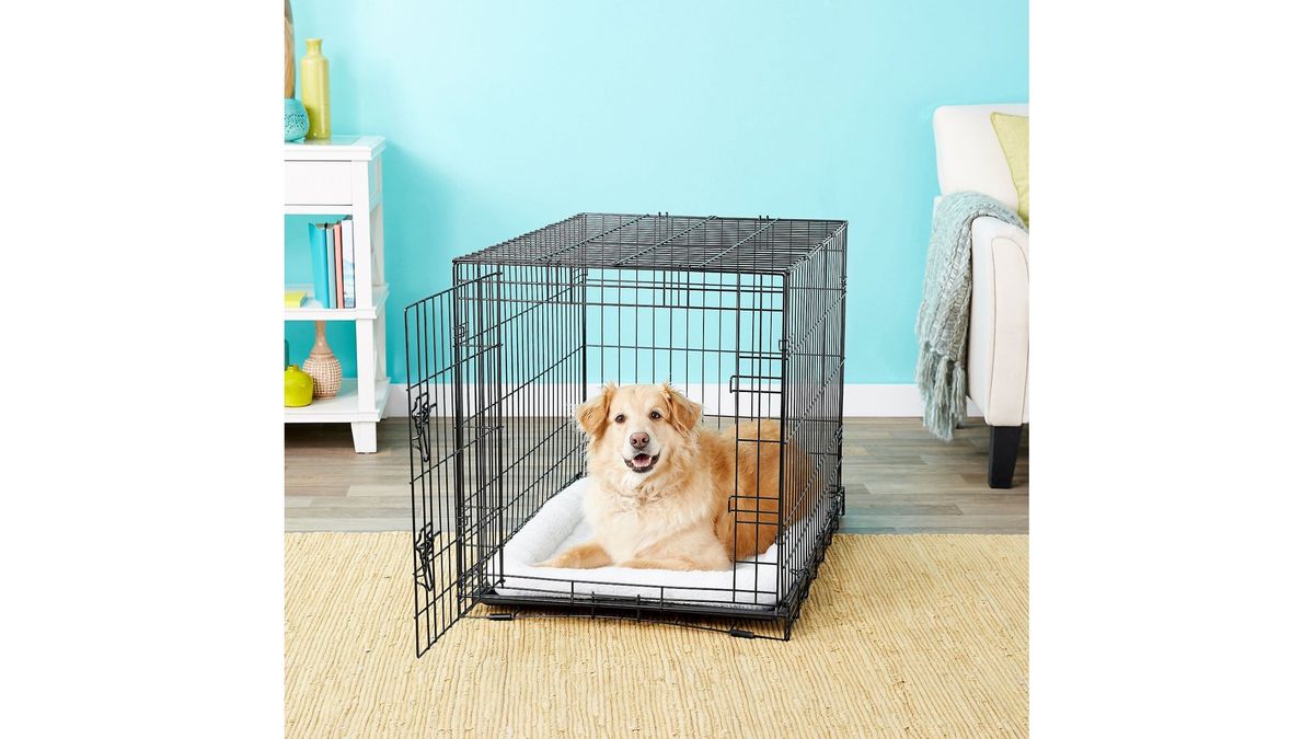 The best puppy sleep aids to help your dog drift off PetsRadar